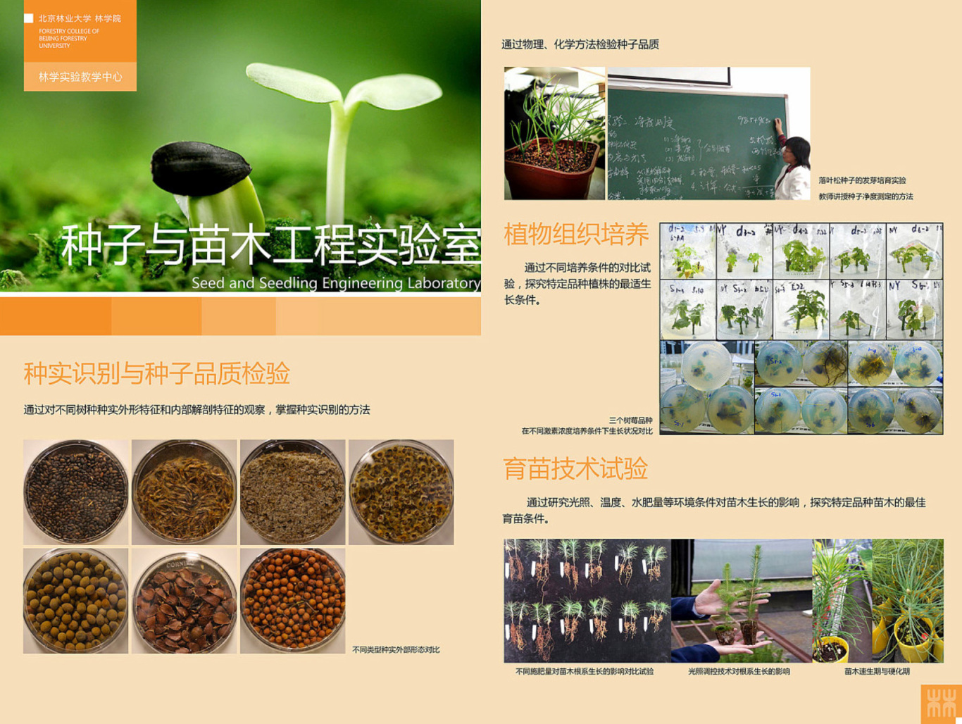 北京林业大学林学院展板设计图2