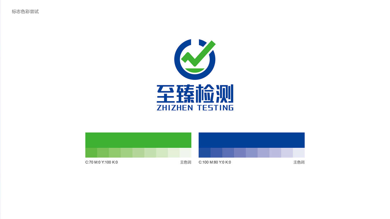 至臻檢測技術類LOGO設計中標圖3