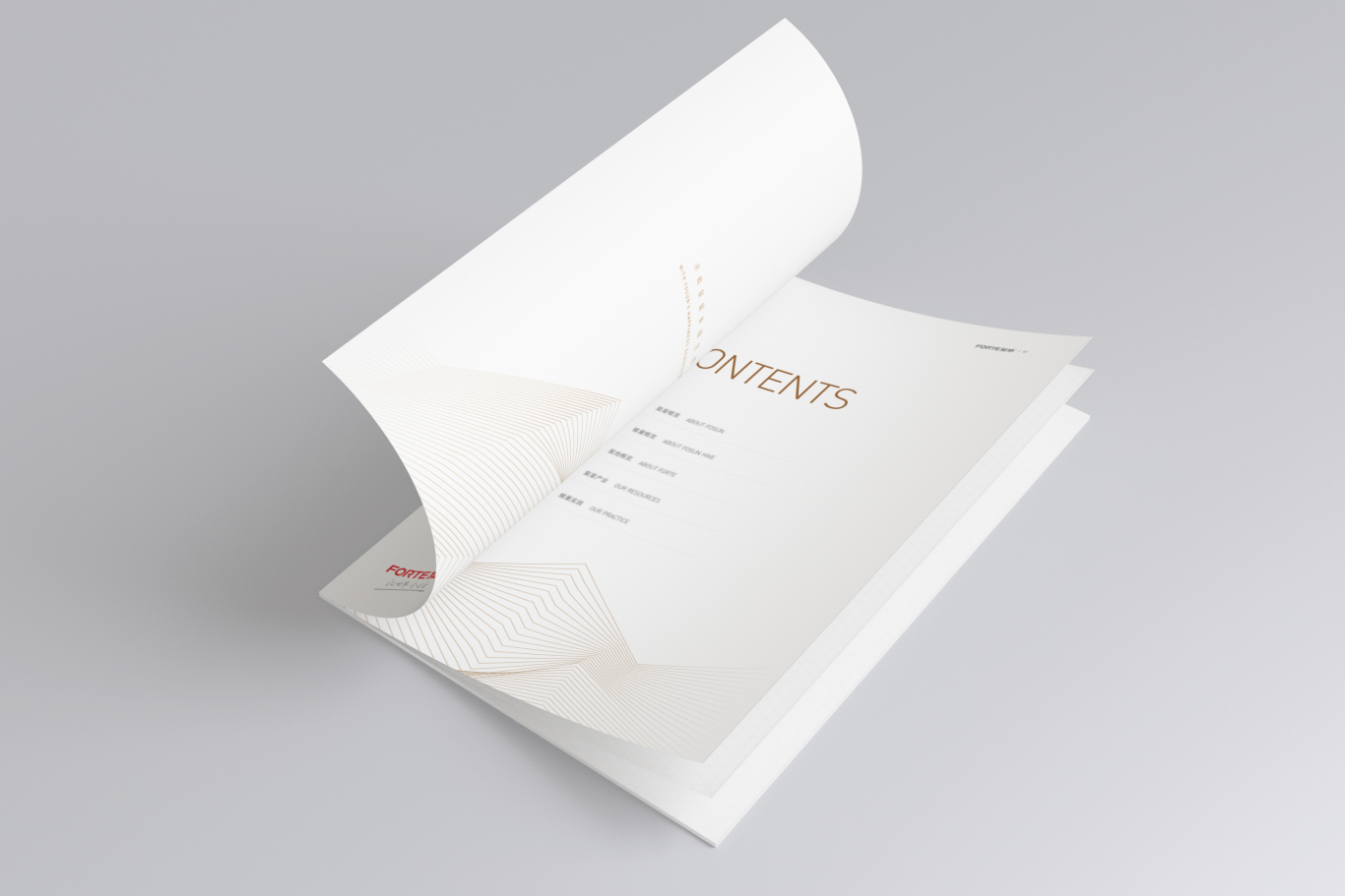复地地产产业推介手册 · 画册设计图1