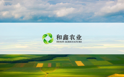 和鑫农业发展有限公司logo设计