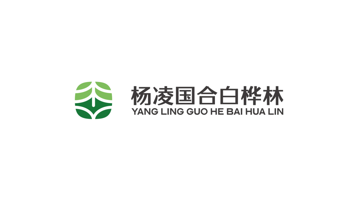 杨凌国合白桦林logo设计图0