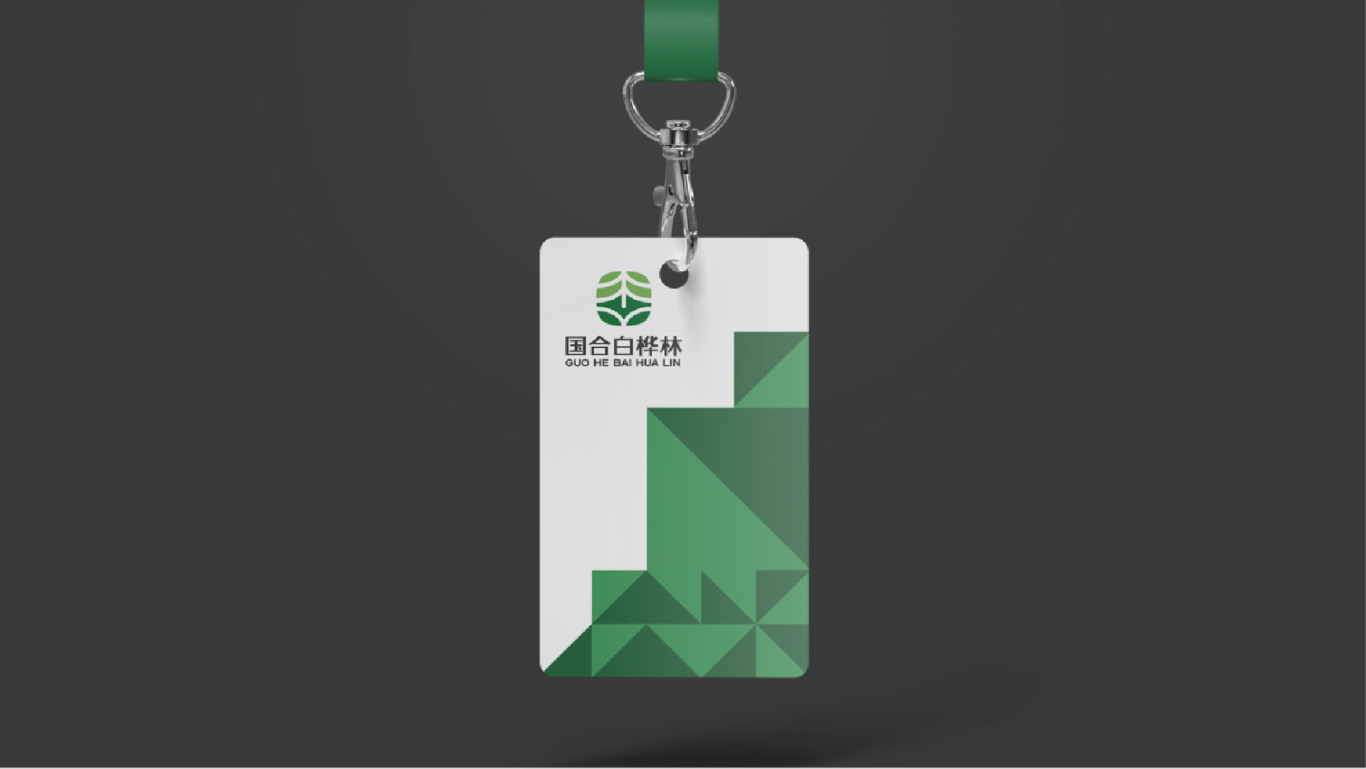 杨凌国合白桦林logo设计图9