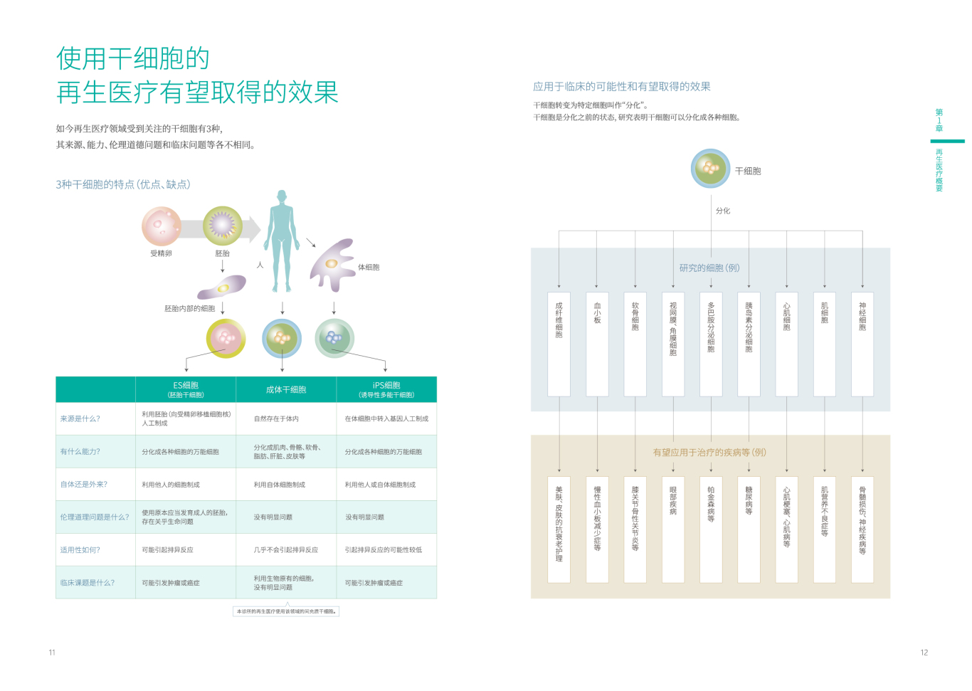 東南健康企业宣传册图3