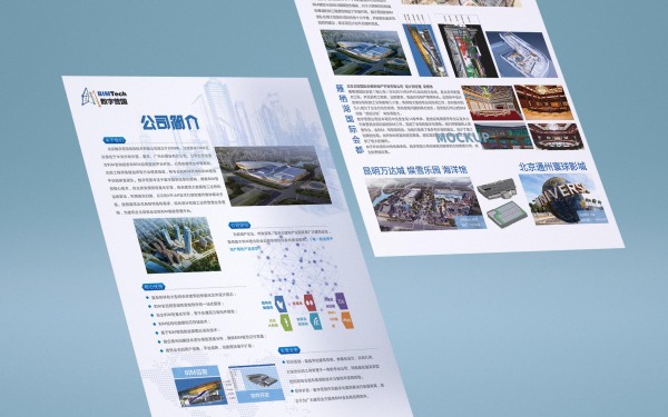 北京數字營國項目宣傳單設計