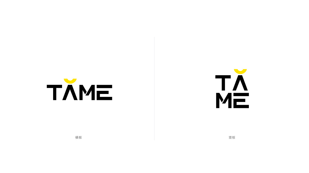 TAME-摄影品牌形象设计图5