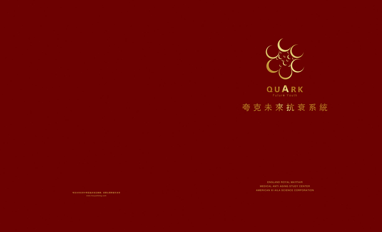 北京夸克医疗画册设计图0