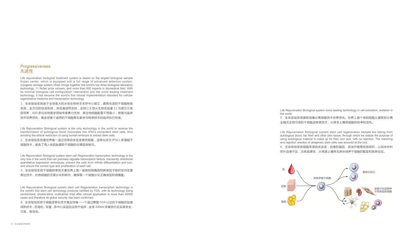 北京夸克生命复始画册设计图6