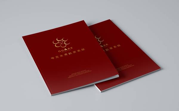 北京夸克医疗画册设计