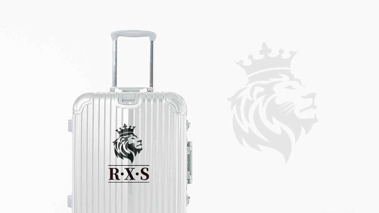RXS箱包品牌LOGO设计中标图5