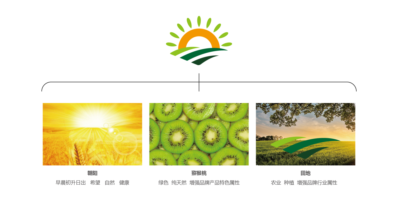晨晓农业生鲜品牌LOGO设计中标图1