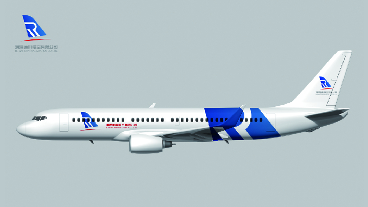 润泽通用航空logo设计图11