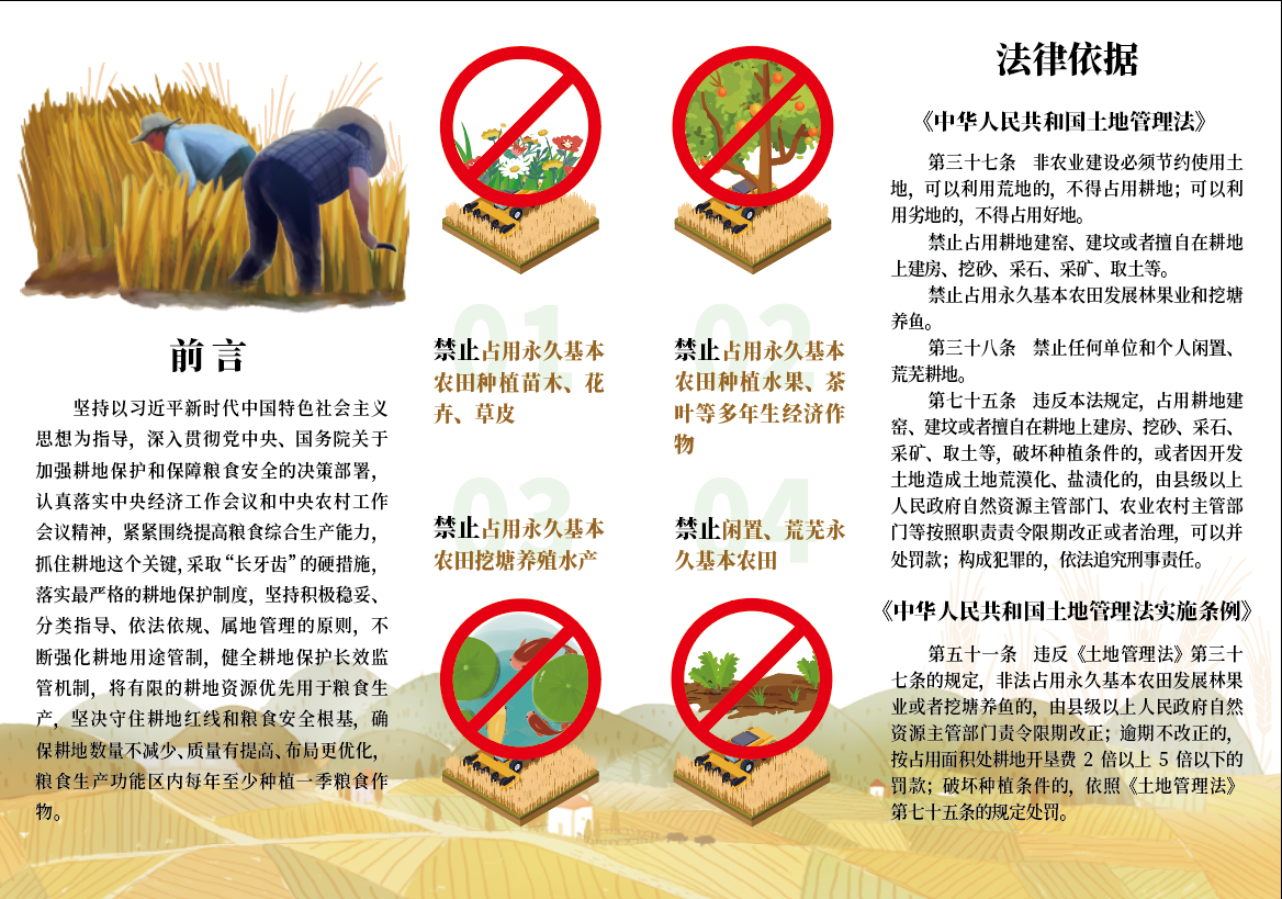 杭州农业局防止土地非粮化宣传手册图0