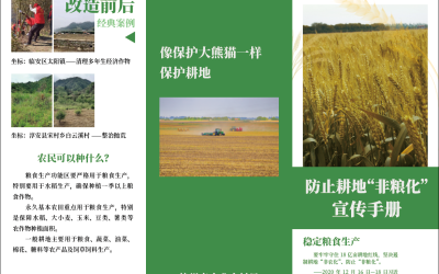杭州农业局防止土地非粮化宣传手册