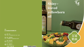 文冠果油食品类画册设计