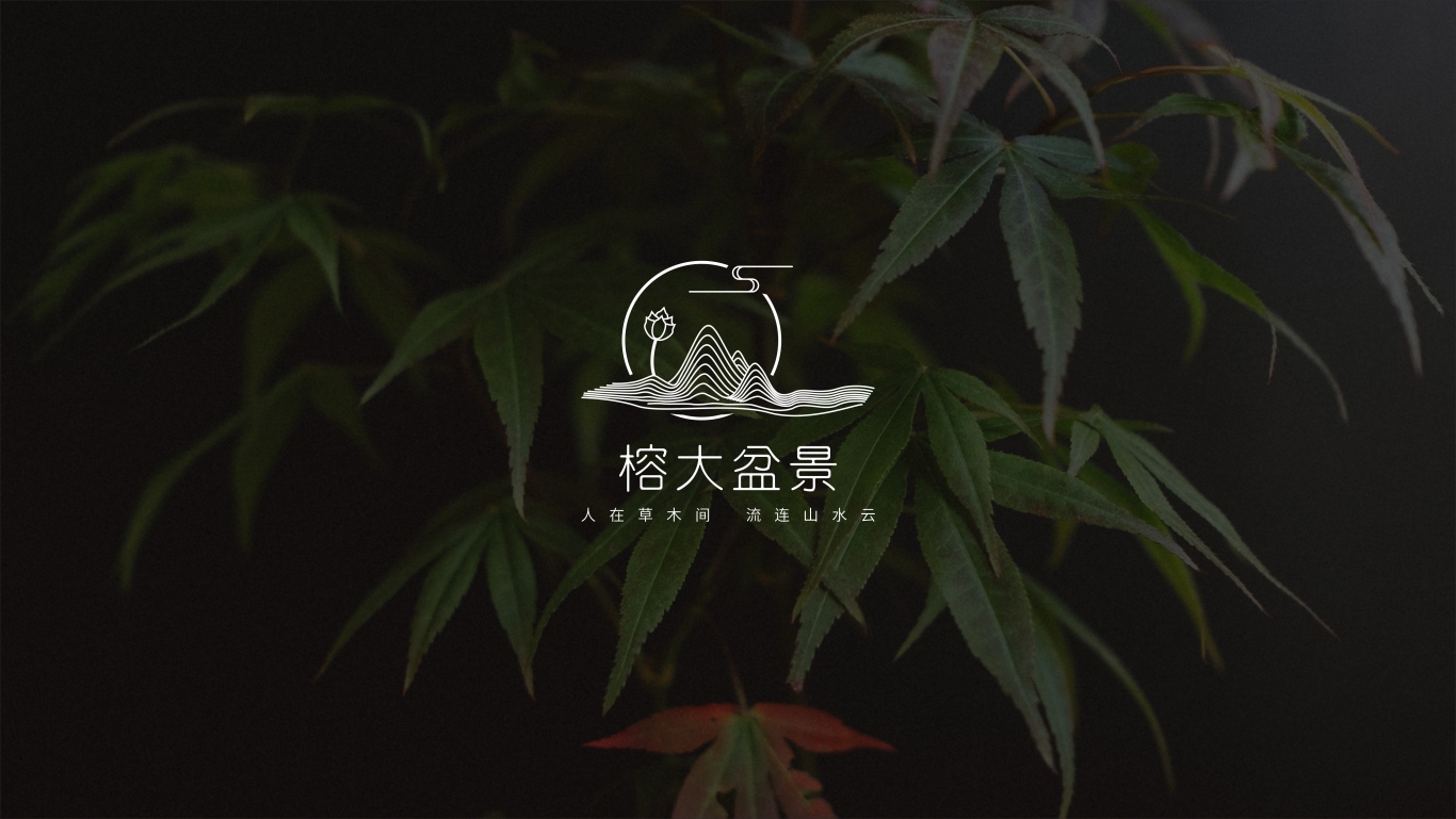 zingc·標志丨榕大盆景圖3