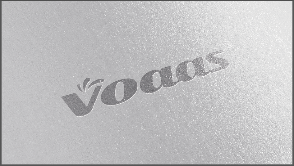 voaas电子产品类LOGO设计中标图8