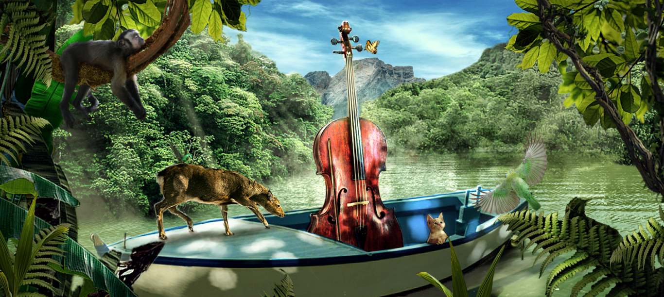 森林的提琴图0