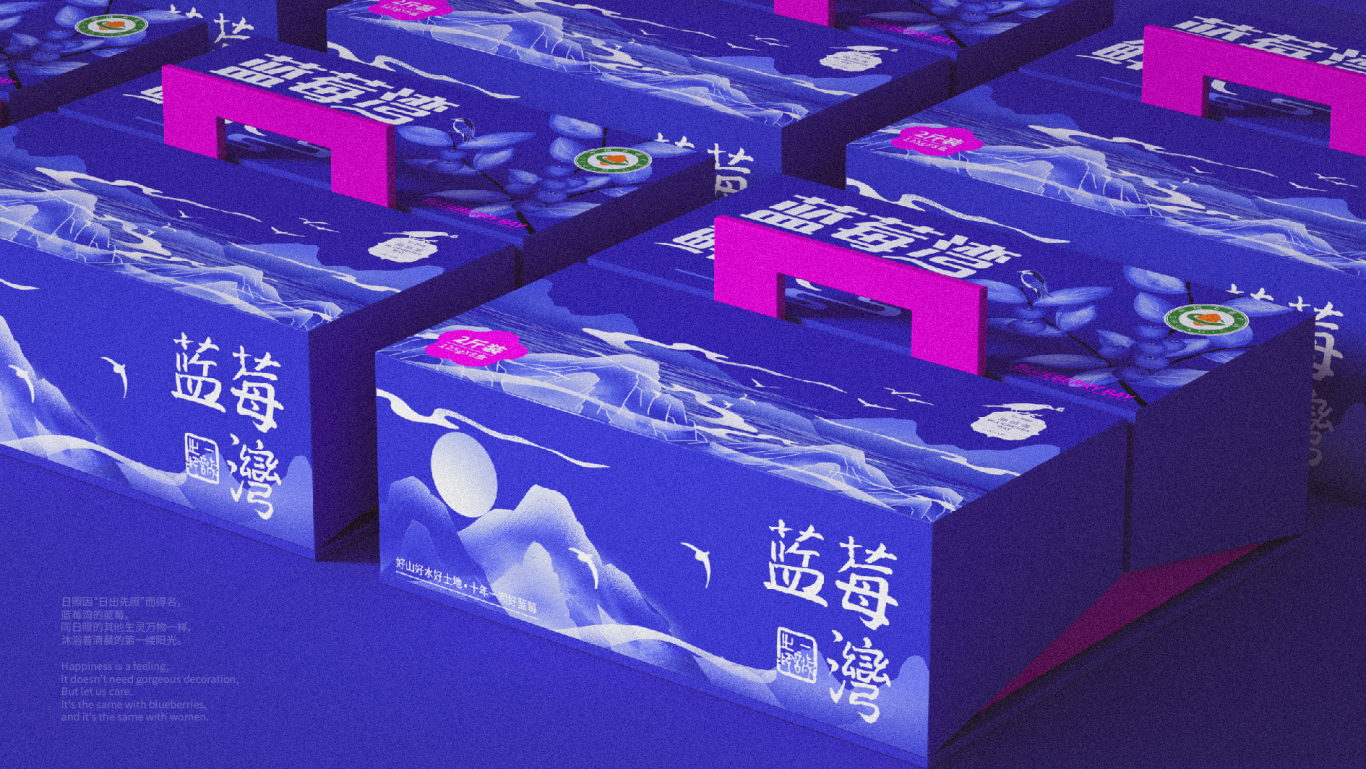 高端蓝莓礼盒包装设计图6