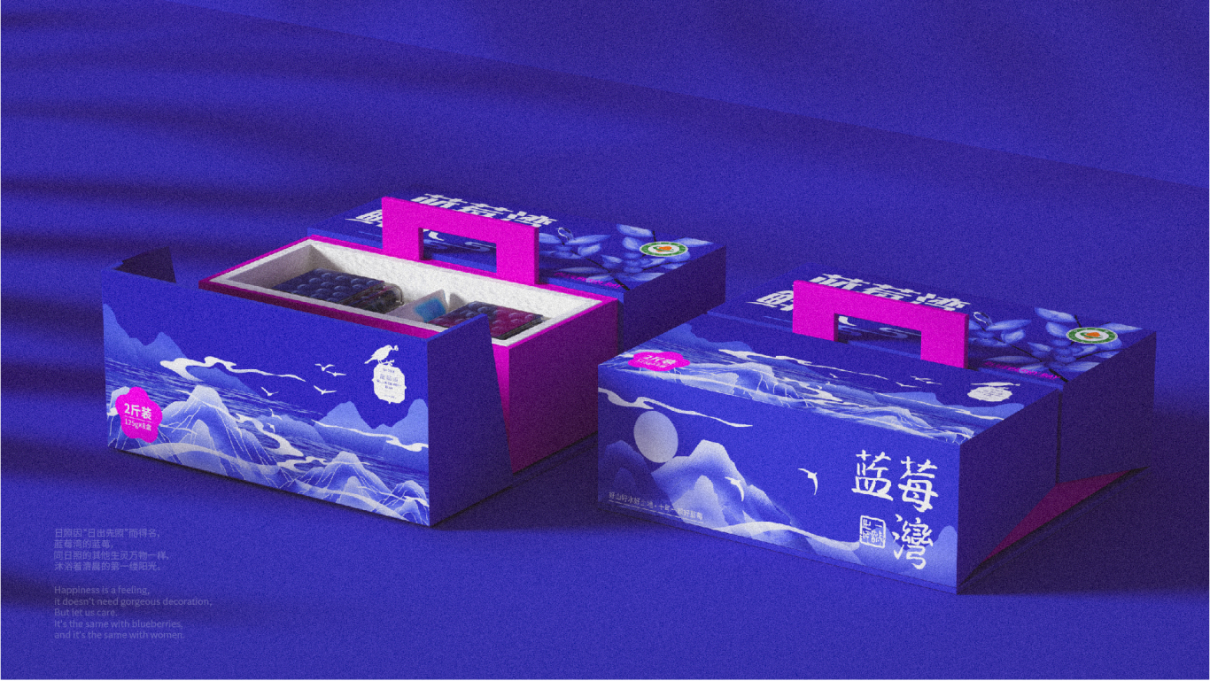 高端藍莓禮盒包裝設計圖8