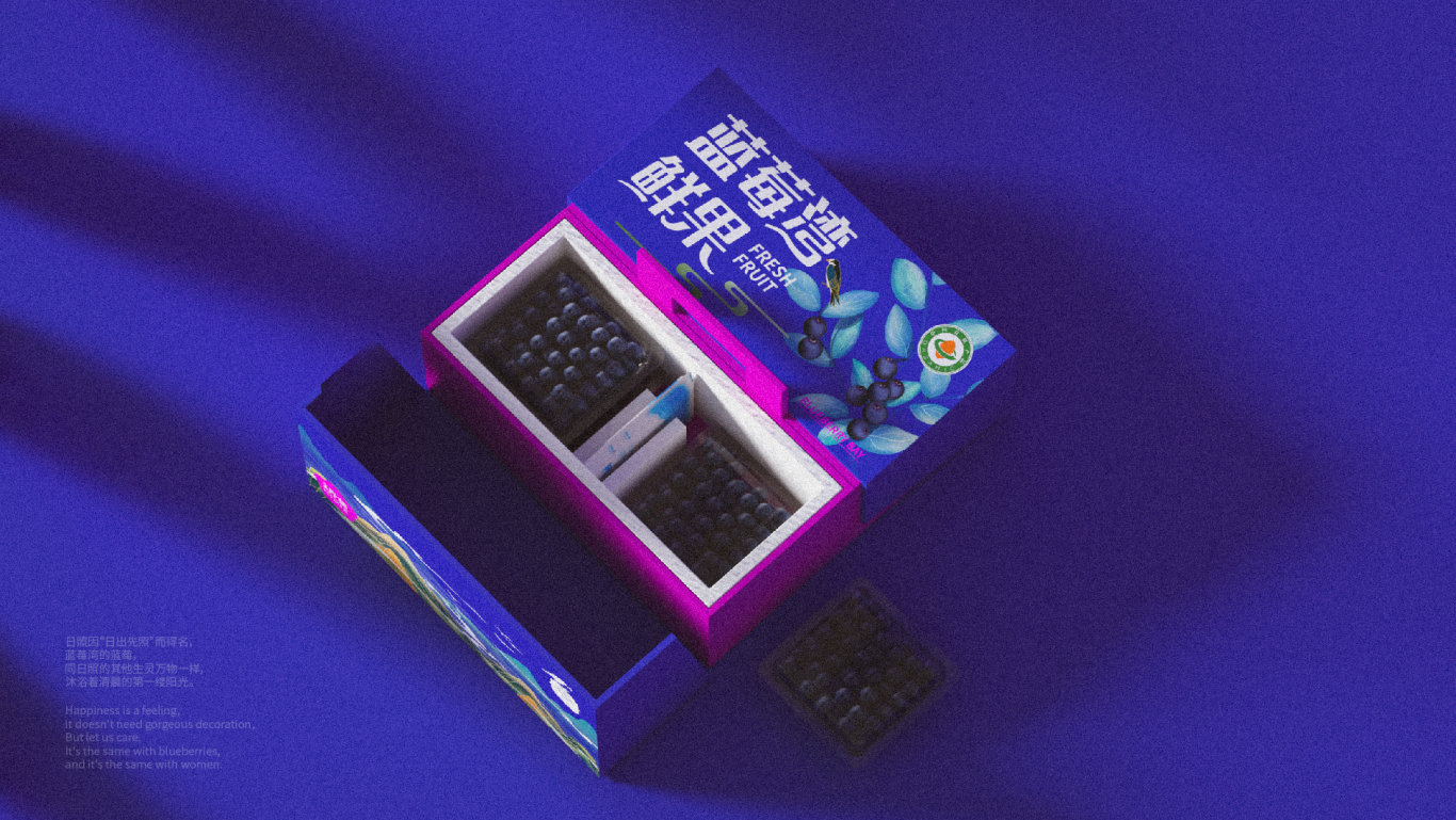 高端藍莓禮盒包裝設計圖10