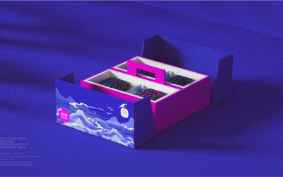 高端蓝莓礼盒包装设计