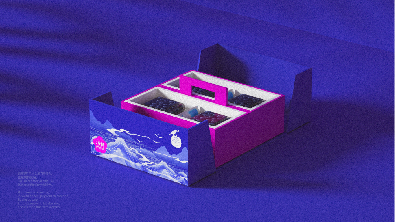 高端藍莓禮盒包裝設計圖7
