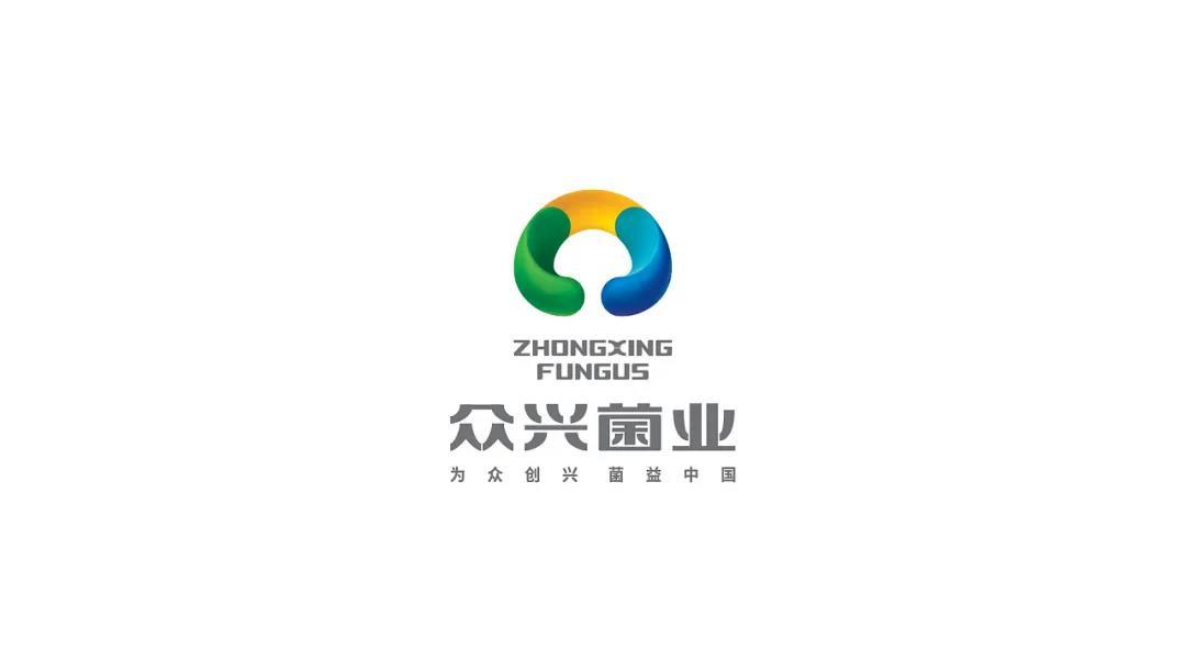 整理已久的企业LOGO/VI全案设计部分精选案例1系列图0