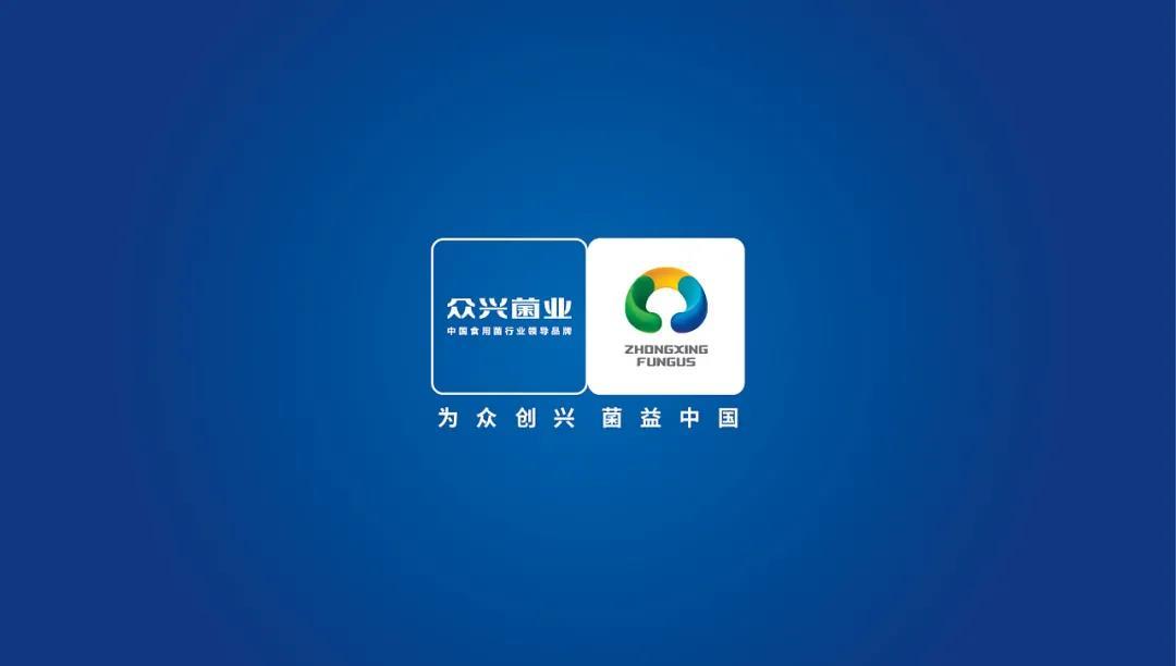 整理已久的企业LOGO/VI全案设计部分精选案例1系列图7