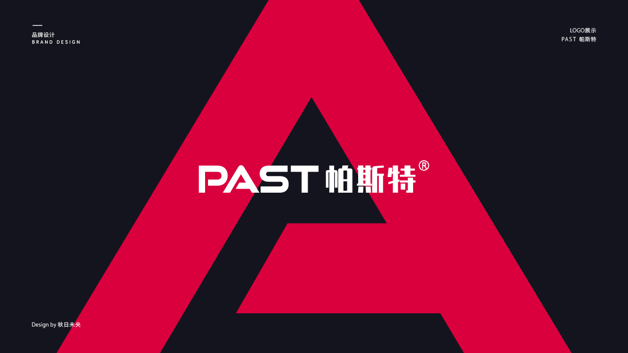 帕斯特科技公司logo图0