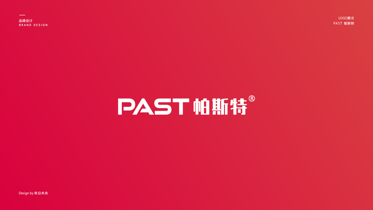 帕斯特科技公司logo图2