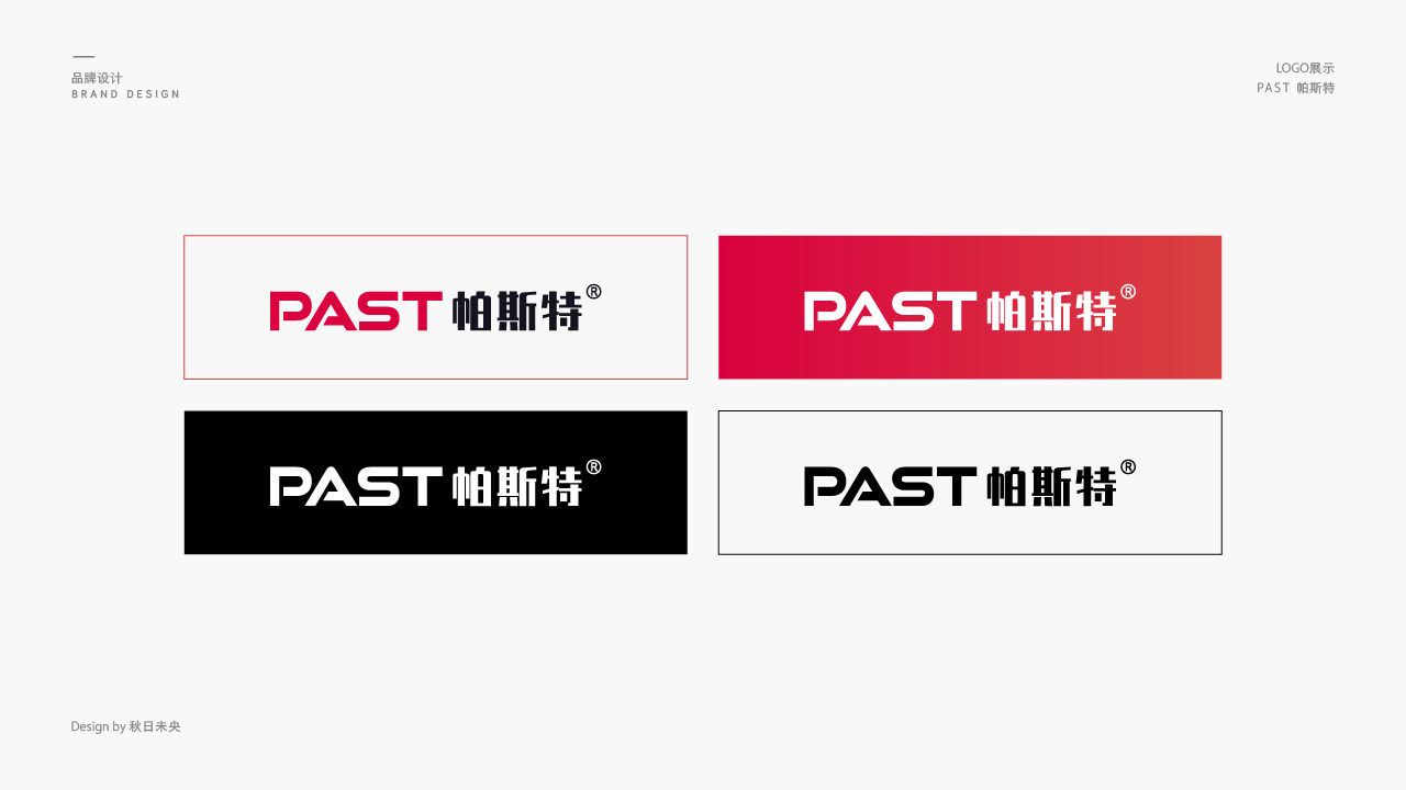 帕斯特科技公司logo图6
