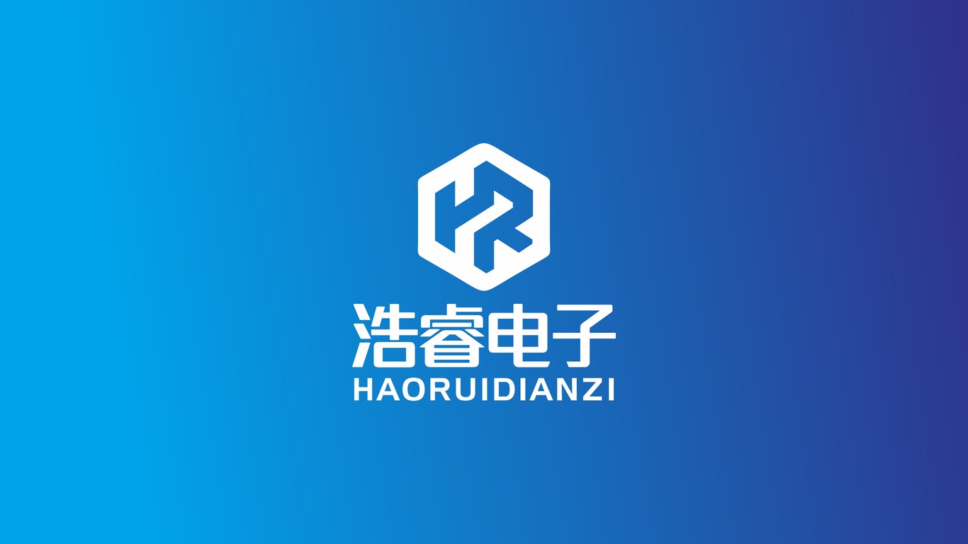 浩睿電子科技品牌LOGO設計中標圖0