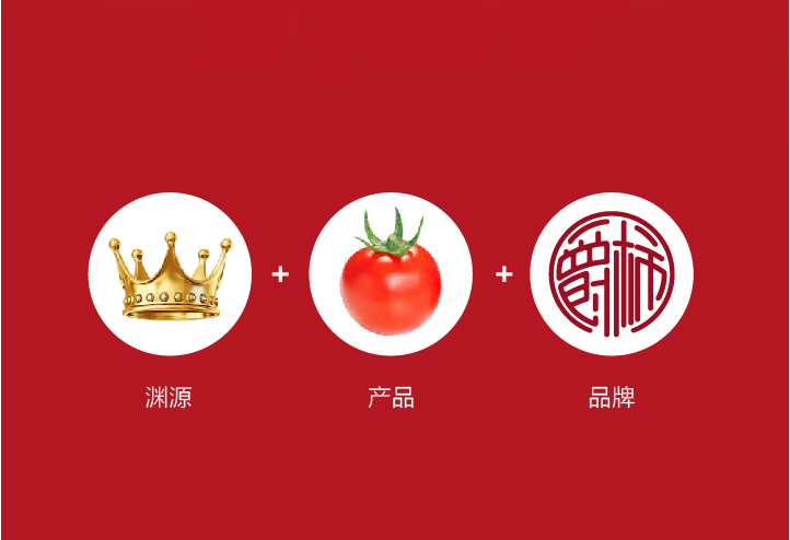 山东水发“爵柿”串收番茄LOGO+包装全案图2