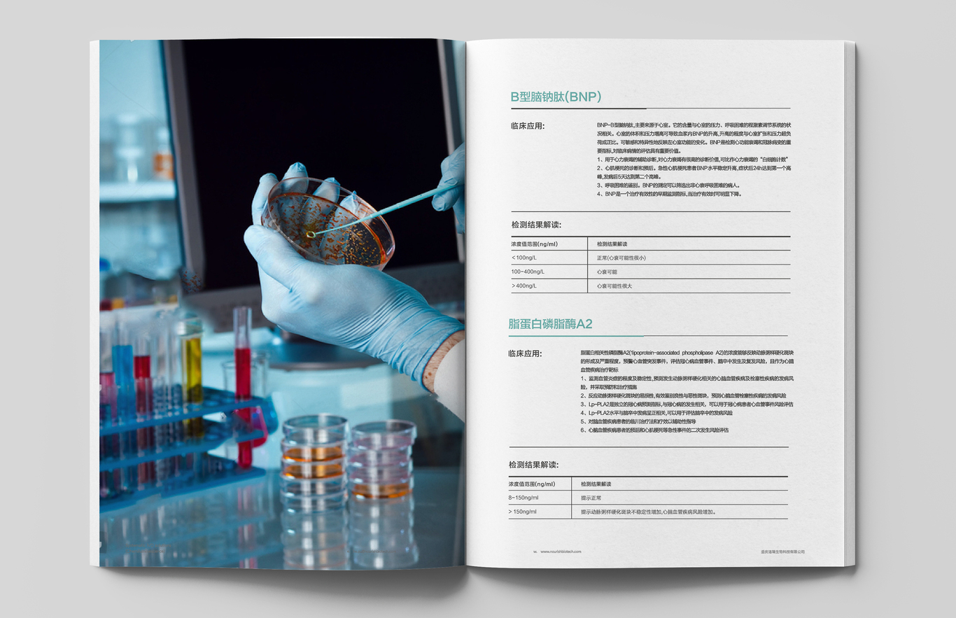 洛瑞生物画册设计图12