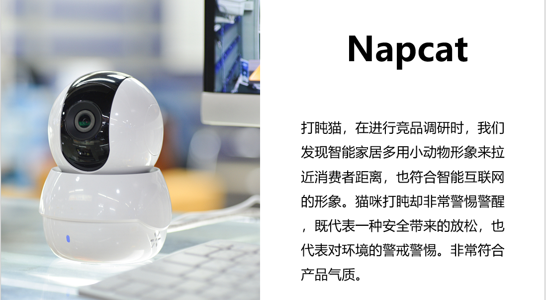 Napcat科技攝像頭類英文命名