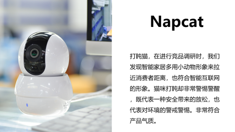 Napcat科技摄像头类英文命名