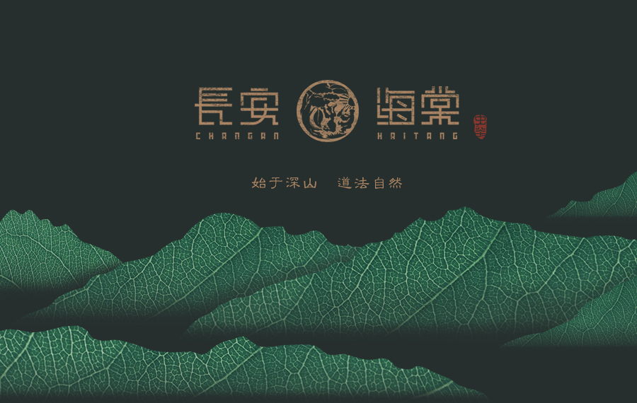 邵阳城步长安海棠（高端虫茶）--品牌升级画册包装图6