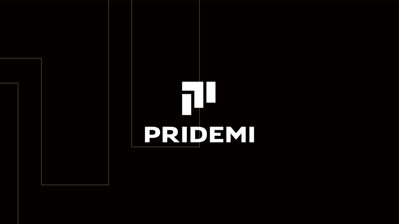 PRIDEMI®潮流时尚服饰品牌形象设计图2