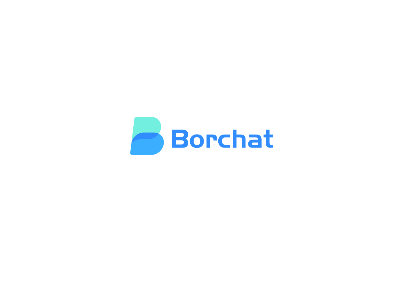 Borchat北京博创安泰科技有限公司LOGO图0