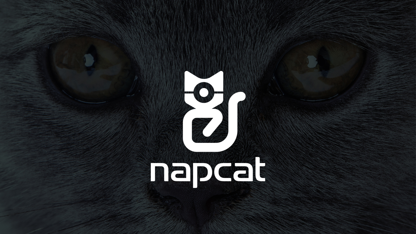 Napcat科技攝像頭類LOGO設計中標圖4