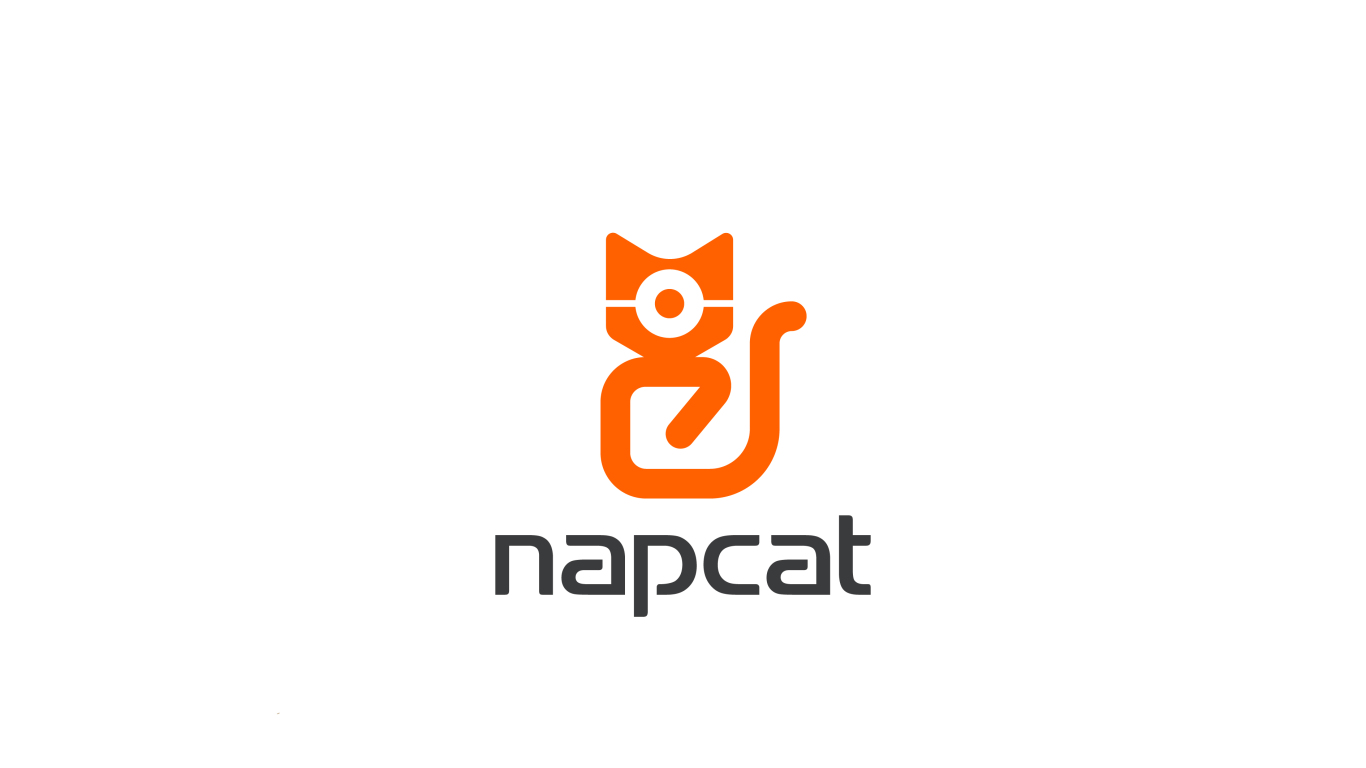 Napcat科技攝像頭類LOGO設計中標圖2