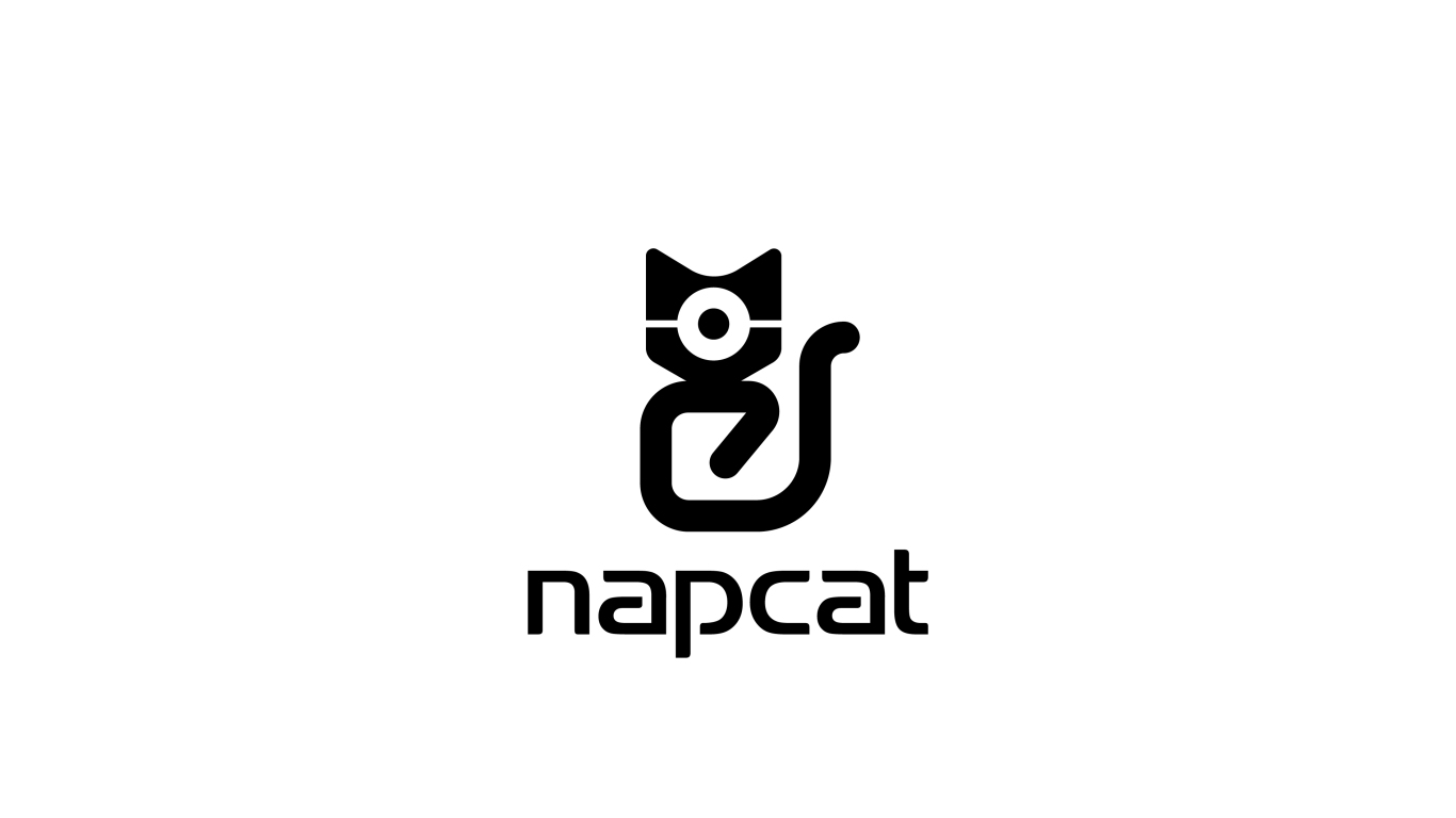 Napcat科技攝像頭類LOGO設計中標圖12