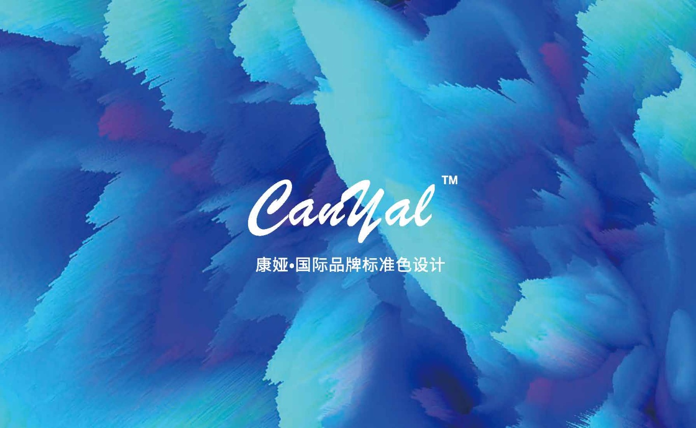 康娅国际Canyal-大健康-品牌标准色图0