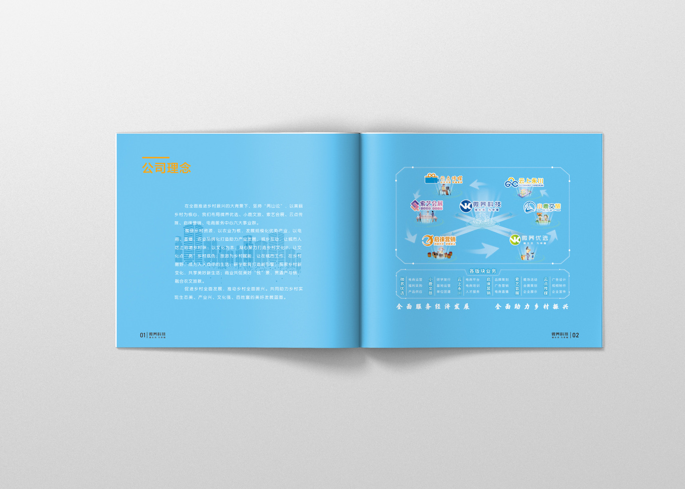 微荞科技宣传册设计图1
