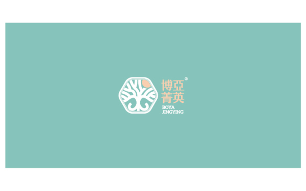博亚菁英 教育机构logo设计