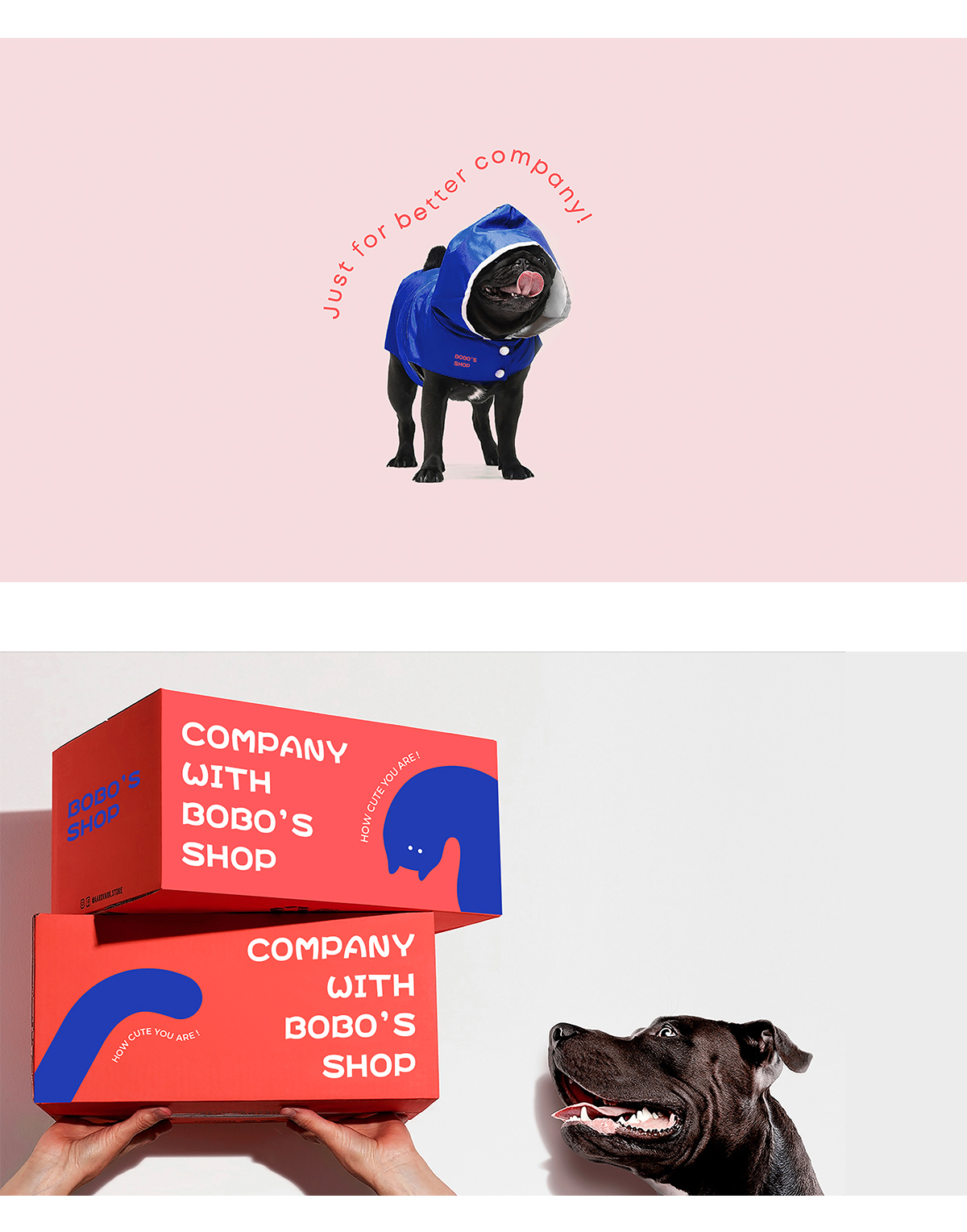 VI设计--BOBO'S SHOP 全品类的宠物用品品牌图4
