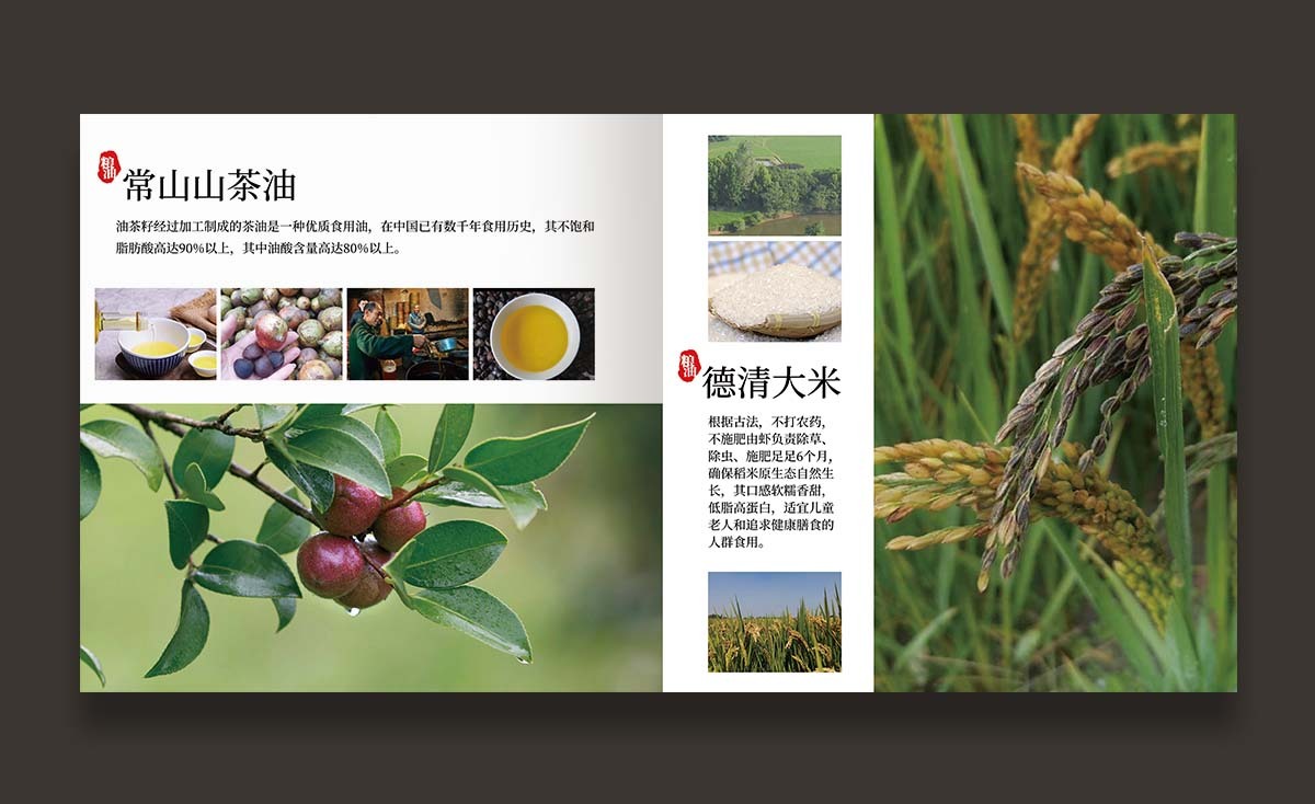 冬季农产品 产品手册设计【农创客发展中心】图9