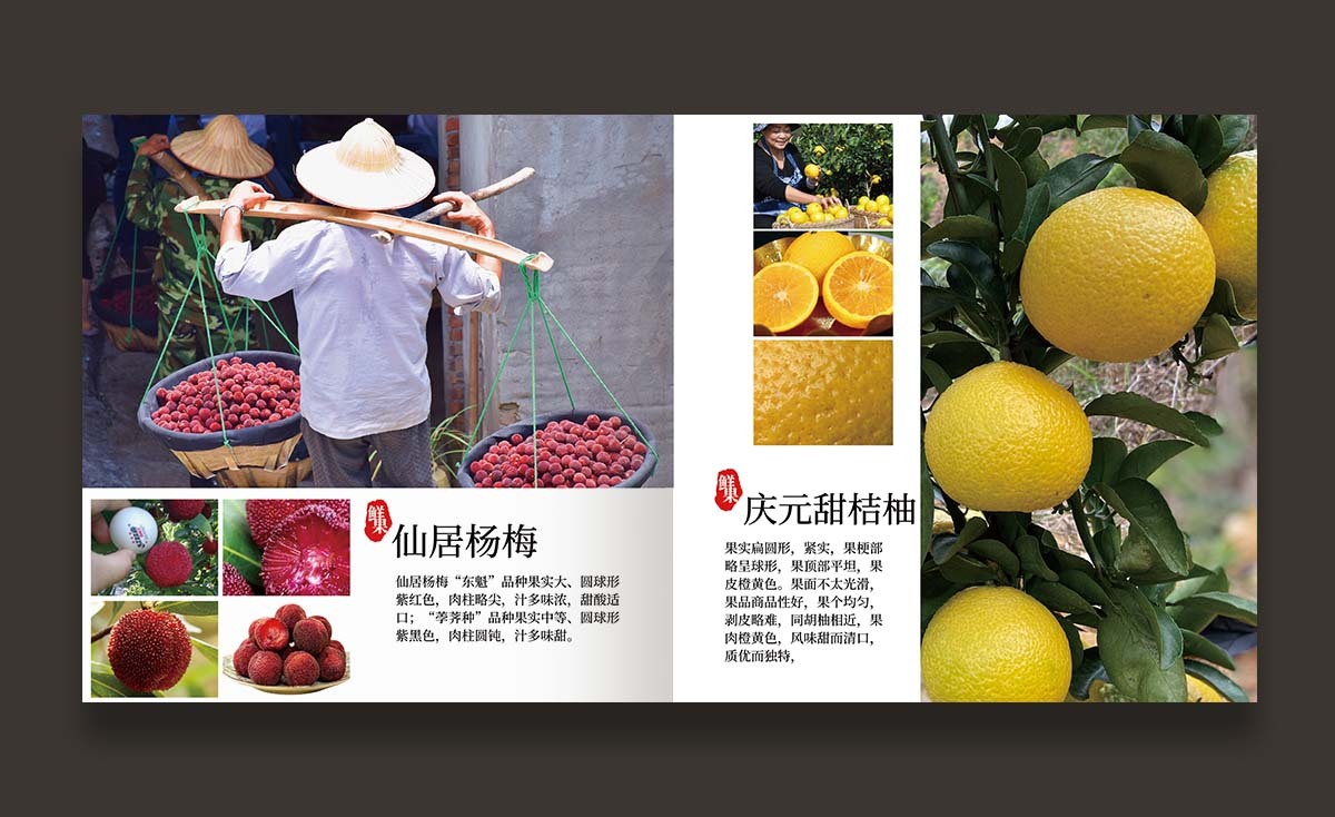 冬季農產品 產品手冊設計【農創客發展中心】圖4
