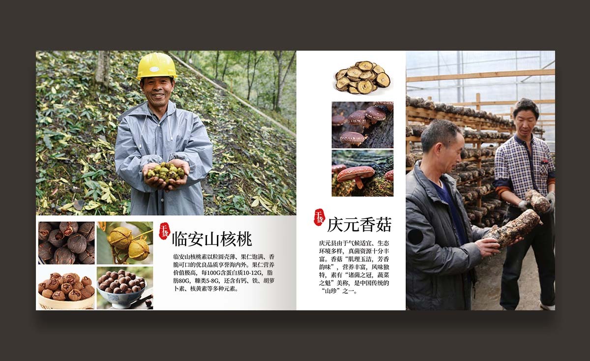冬季農產品 產品手冊設計【農創客發展中心】圖8