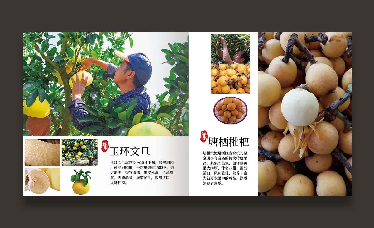 冬季农产品 产品手册设计【农创客发展中心】图3